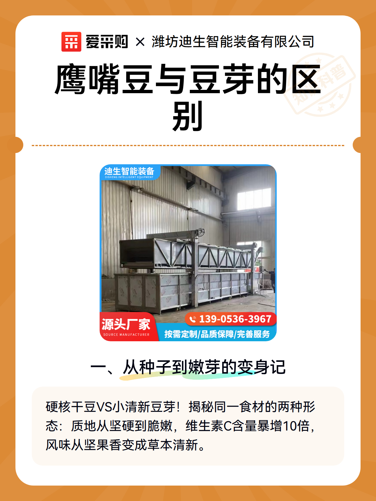 鹰嘴豆与豆芽的区别（图1）