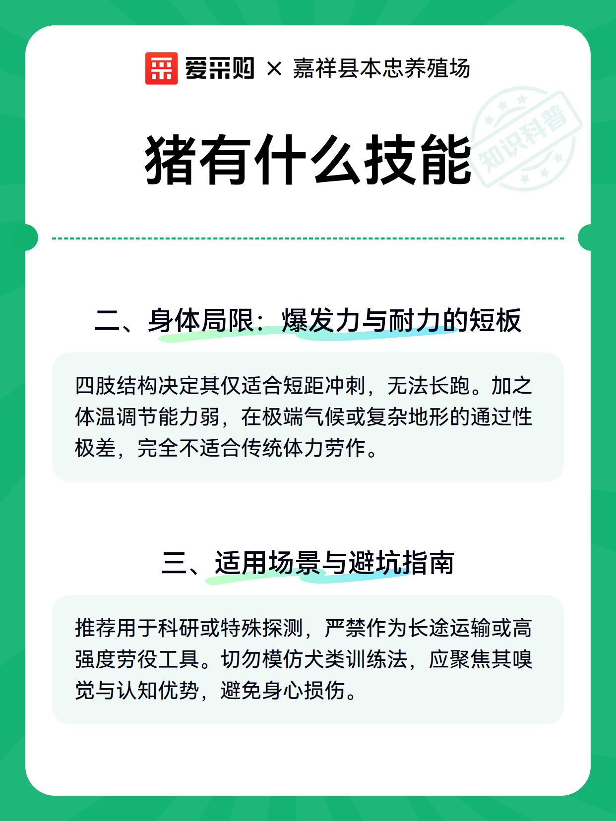 猪有什么技能（图2）