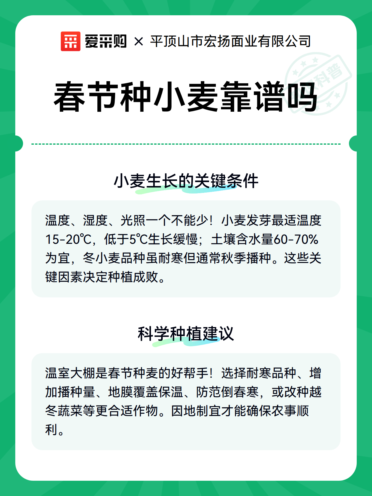 春节种小麦靠谱吗（图2）