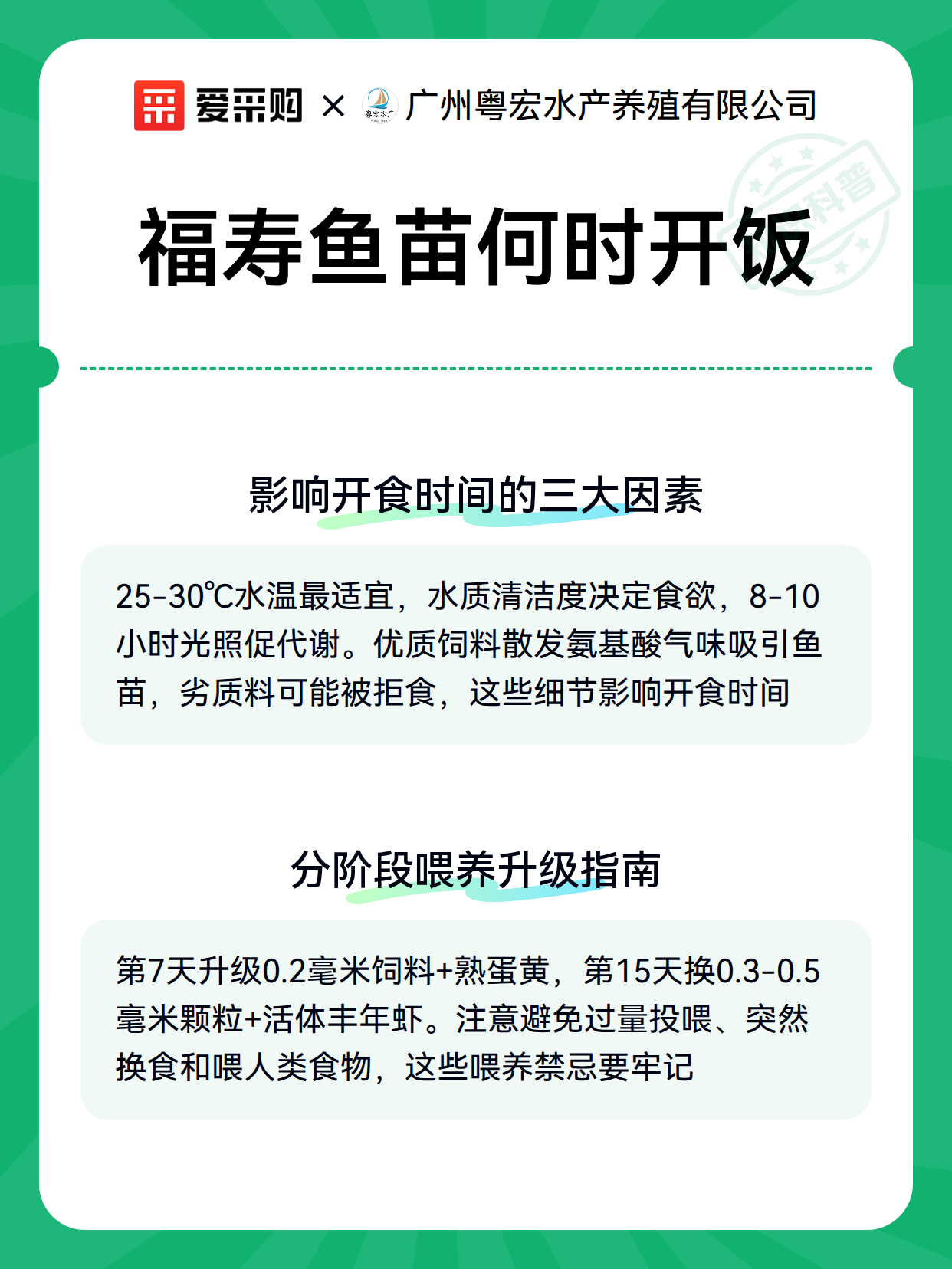 福寿鱼苗何时开饭（图2）