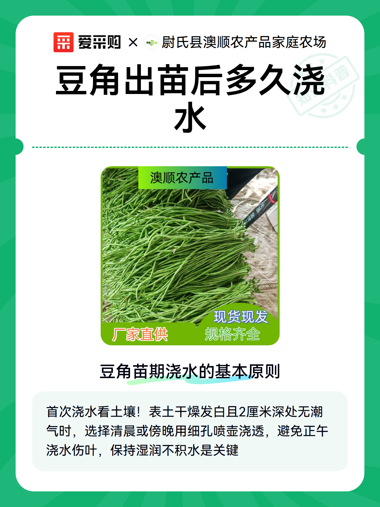 豆角出苗后多久浇水（图2）