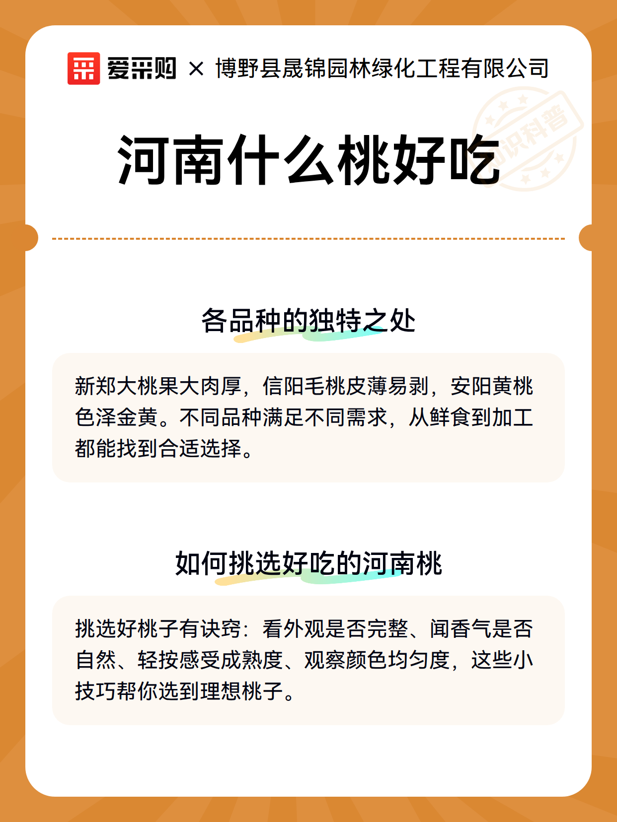 河南什么桃好吃（图2）