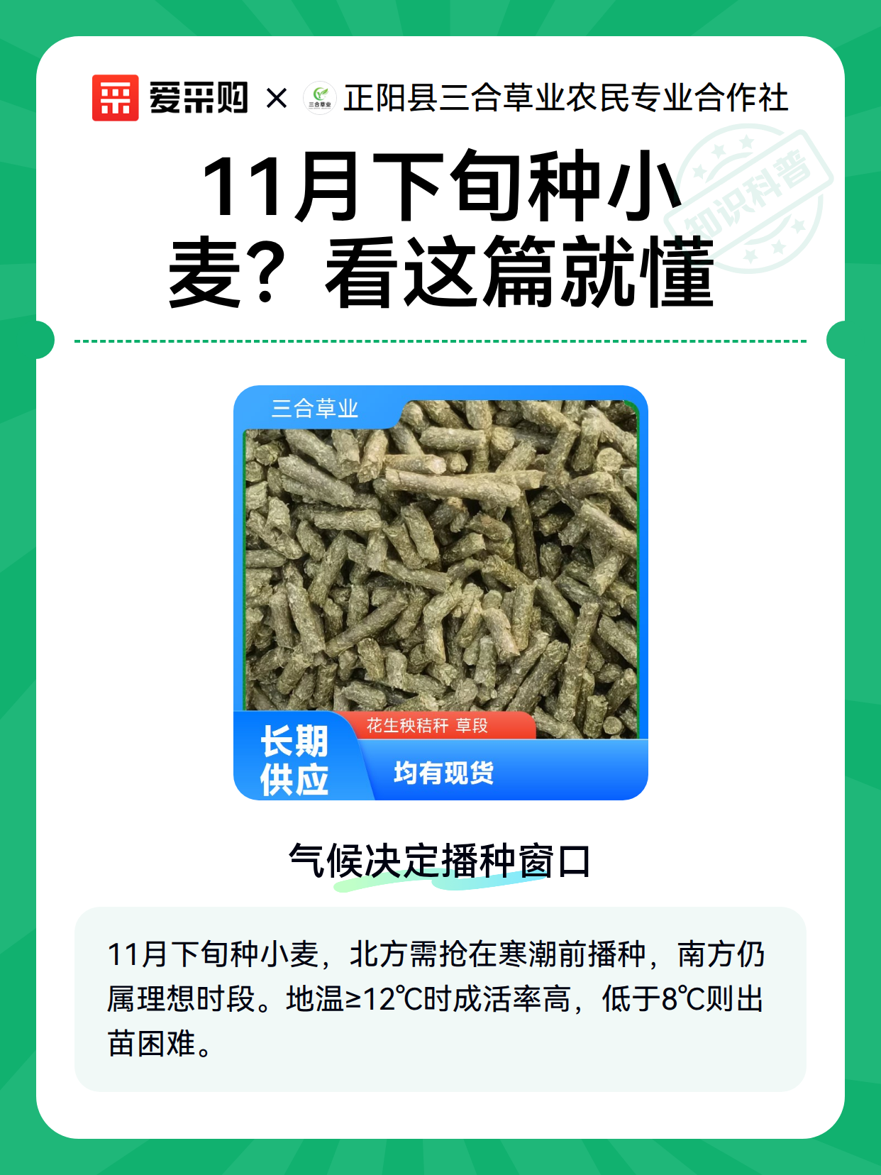 11月下旬种小麦？看这篇就懂（图2）