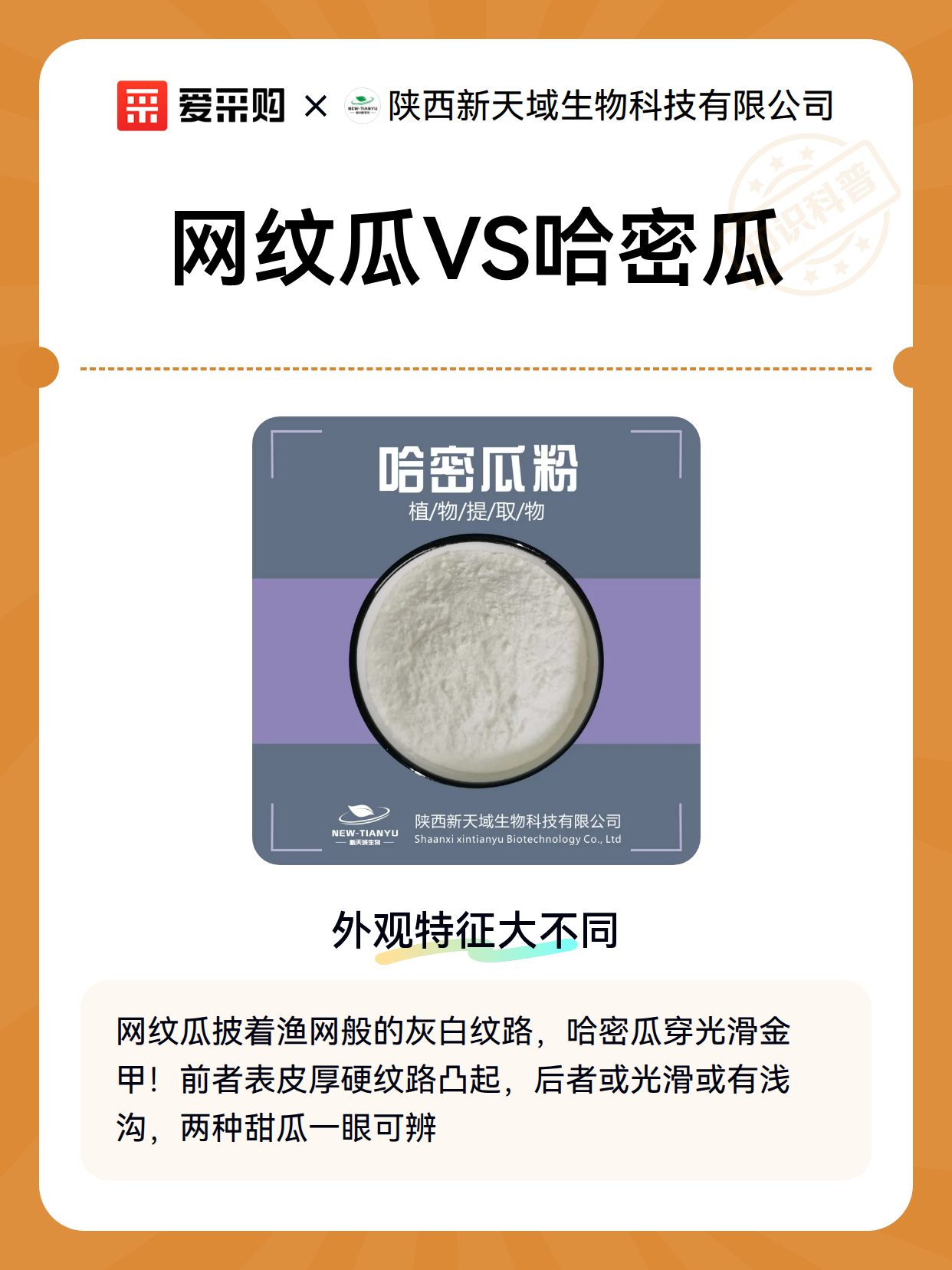 网纹瓜VS哈密瓜（图1）