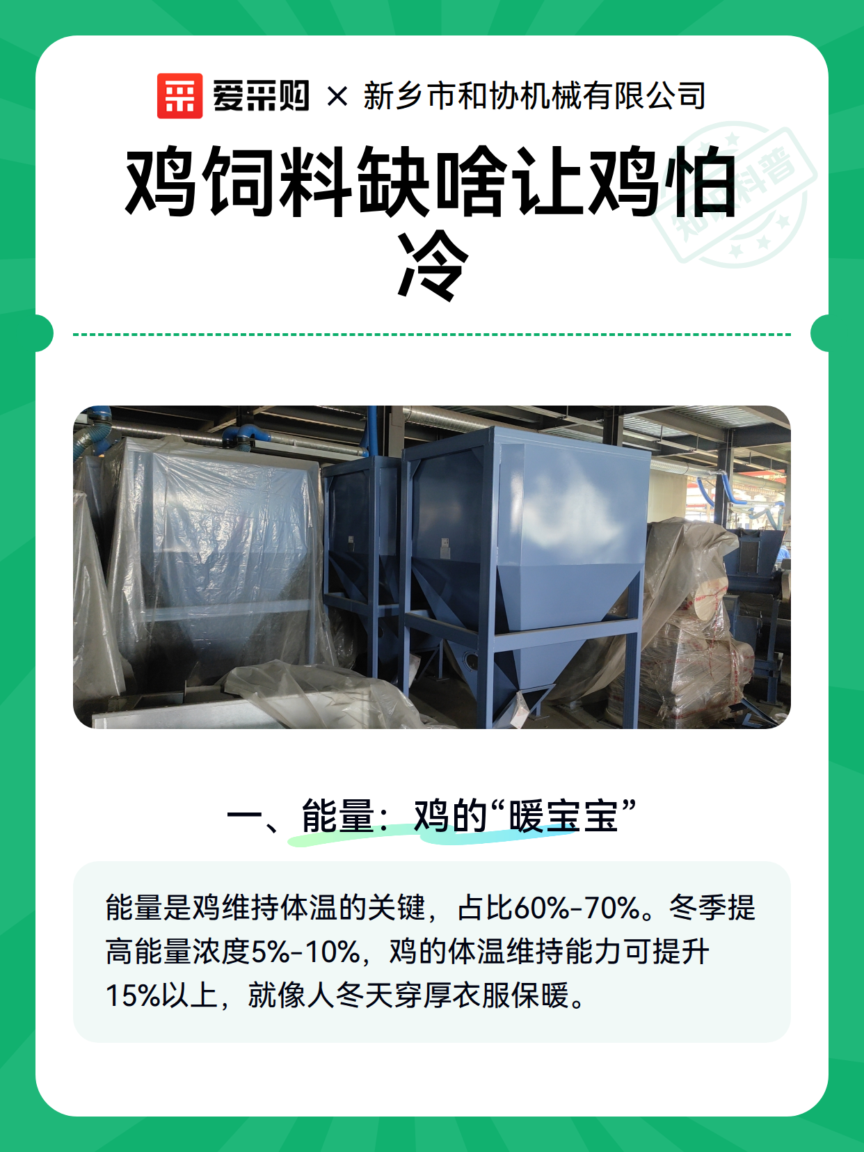 鸡饲料缺啥让鸡怕冷（图1）