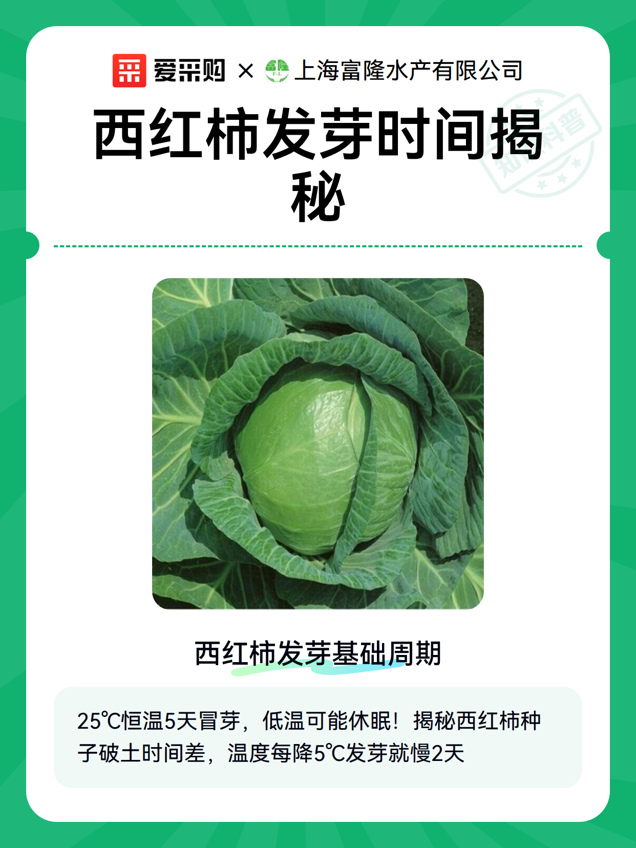 西红柿出苗异常与发芽期故障排查（图2）