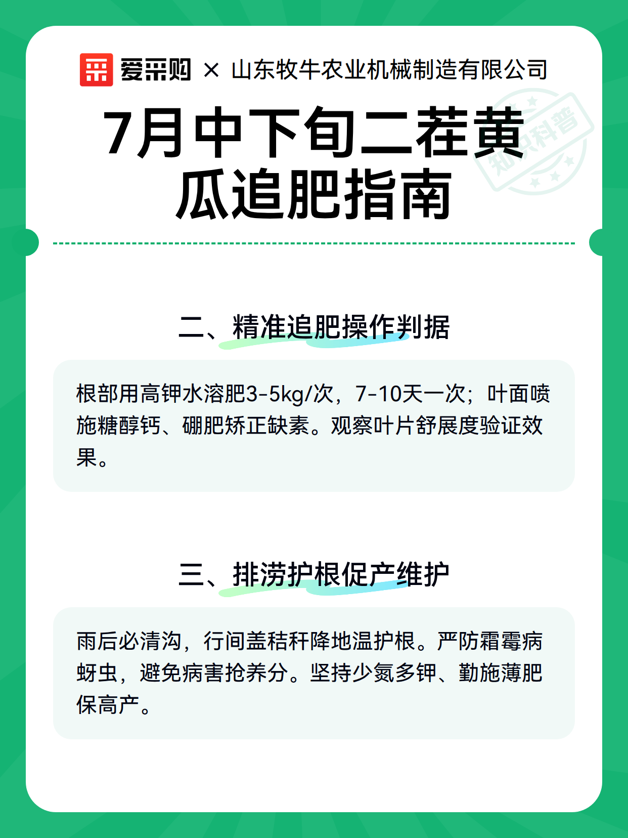 7月中下旬二茬黄瓜追肥指南（图3）