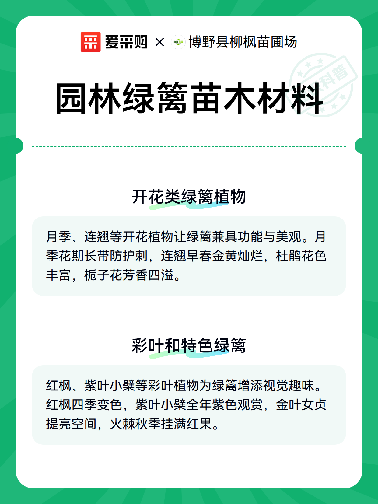 园林绿篱苗木材料（图3）
