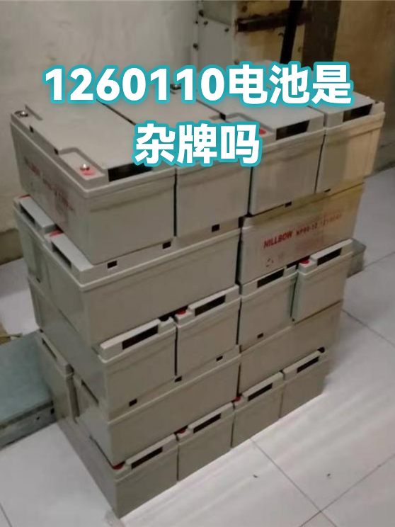 1260110电池是杂牌吗（图1）