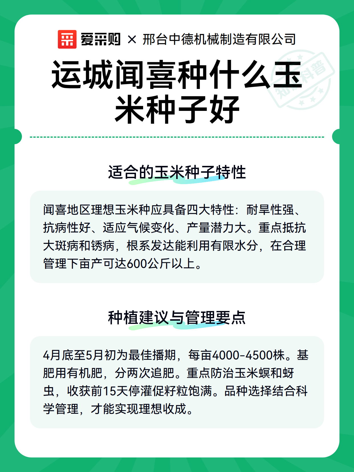 运城闻喜种什么玉米种子好（图3）