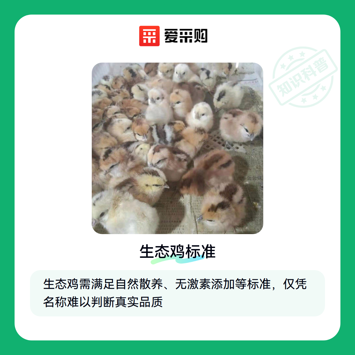生态鸡选购避坑指南：如何识别真正的生态养殖（图1）
