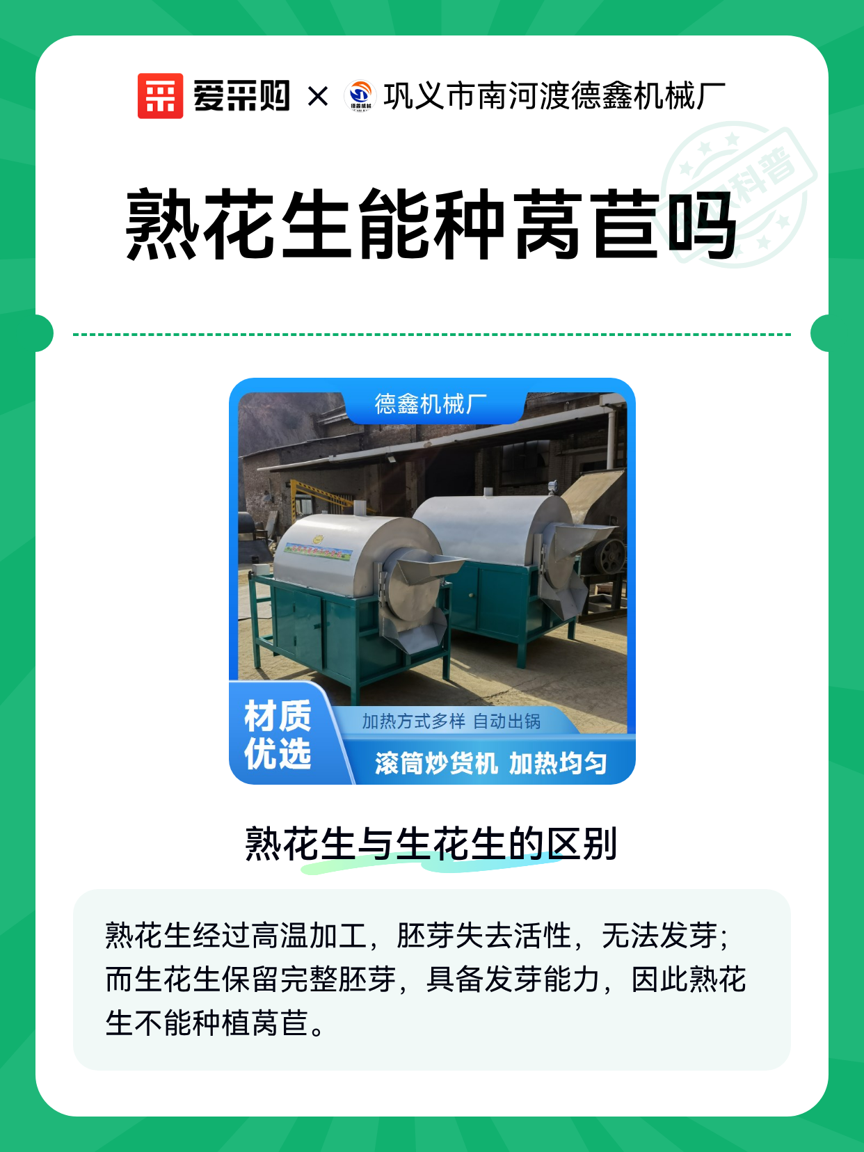熟花生能种莴苣吗（图1）