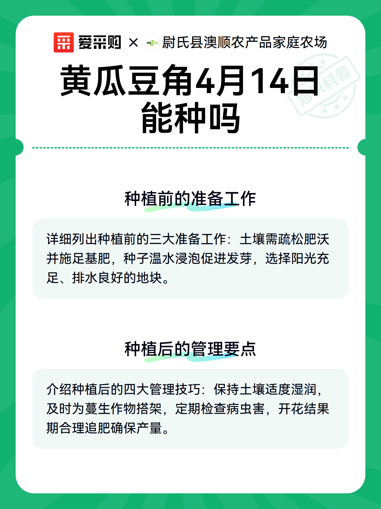 黄瓜豆角4月14日能种吗（图3）