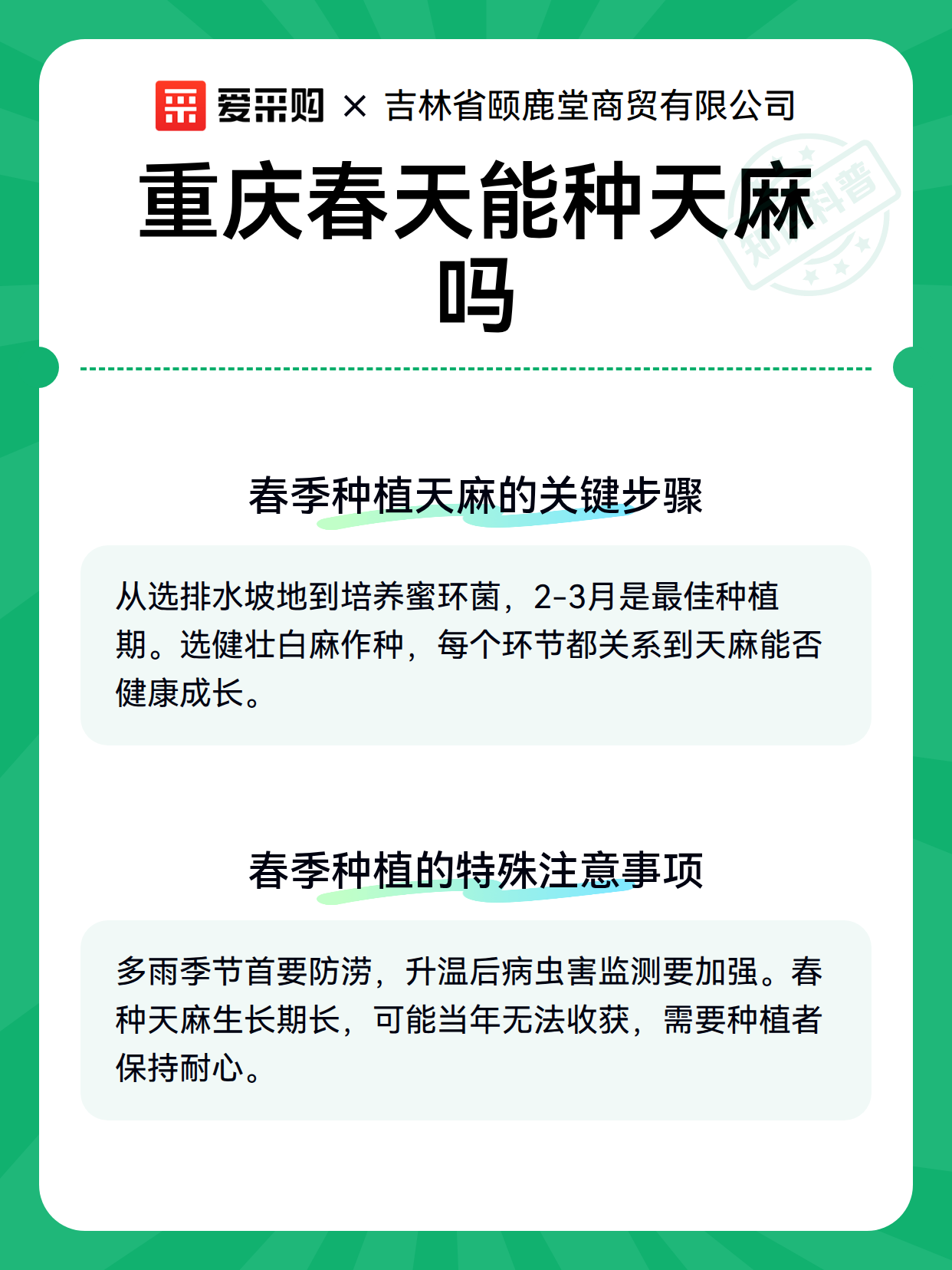 重庆春天能种天麻吗（图3）
