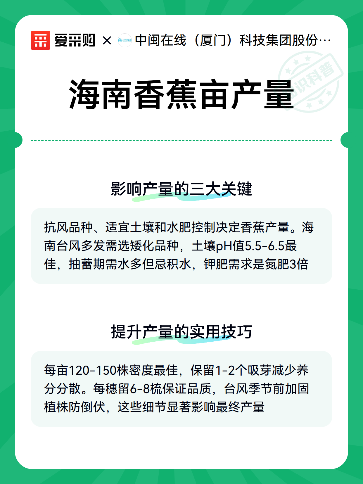 海南香蕉亩产量（图3）
