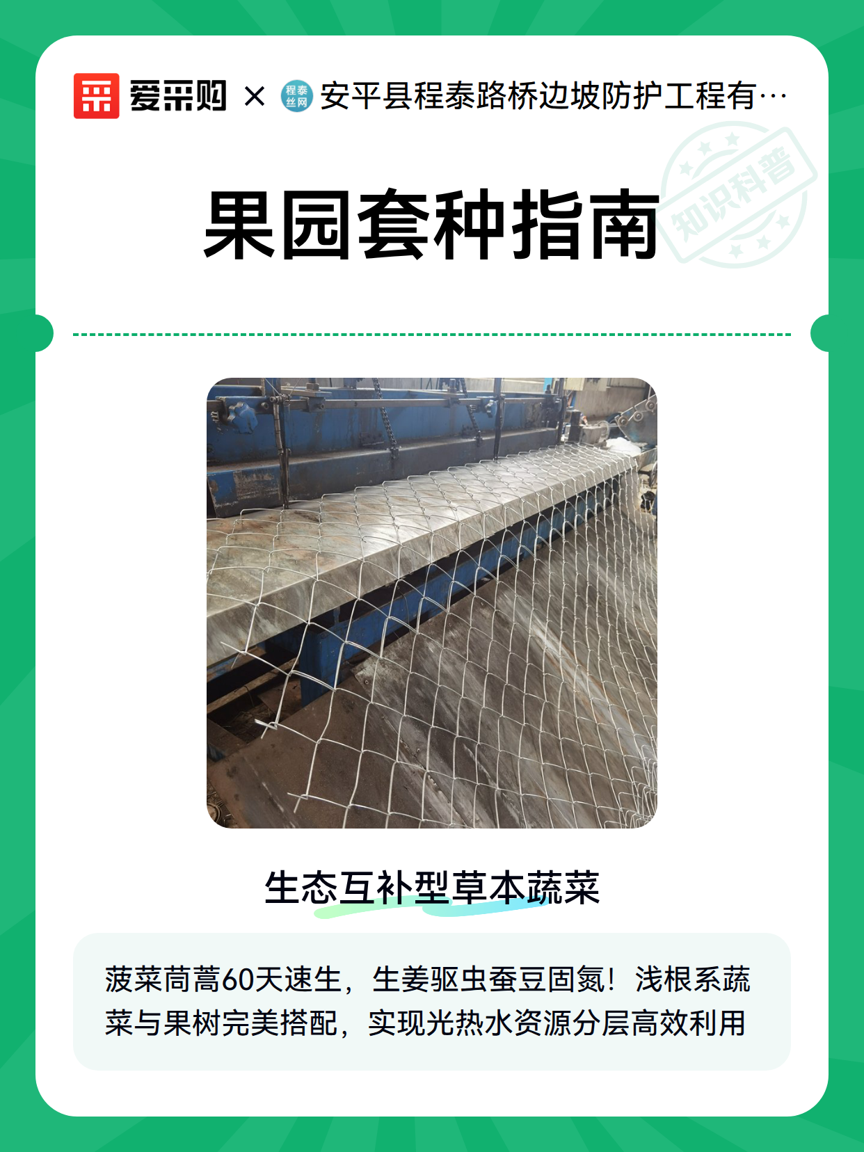 果园套种指南（图1）