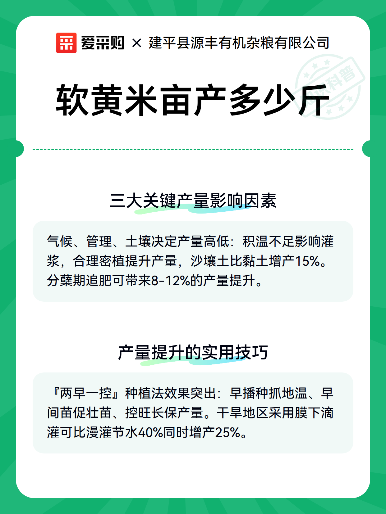 软黄米亩产多少斤（图3）
