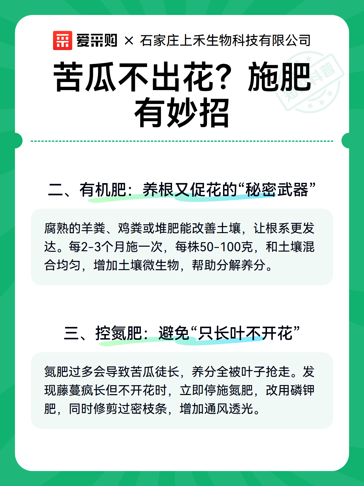 苦瓜不出花？施肥有妙招（图2）