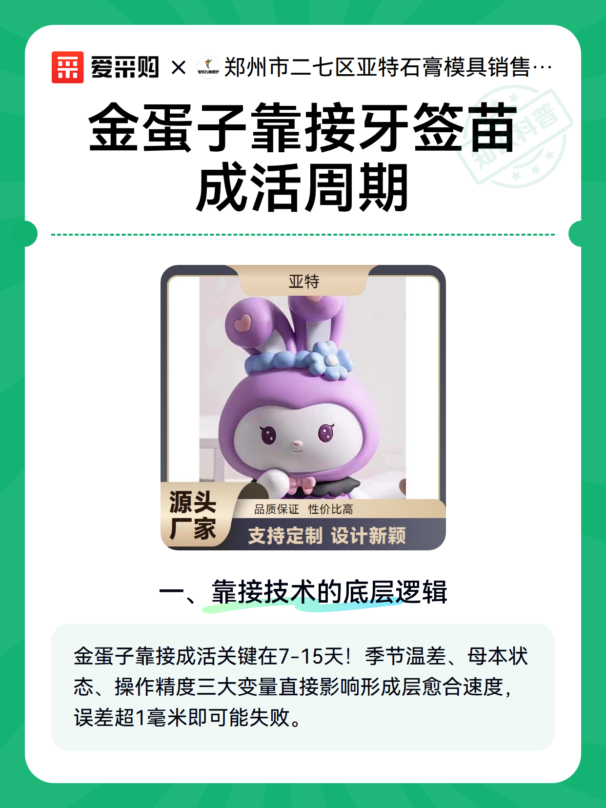 金蛋子靠接牙签苗成活周期（图1）