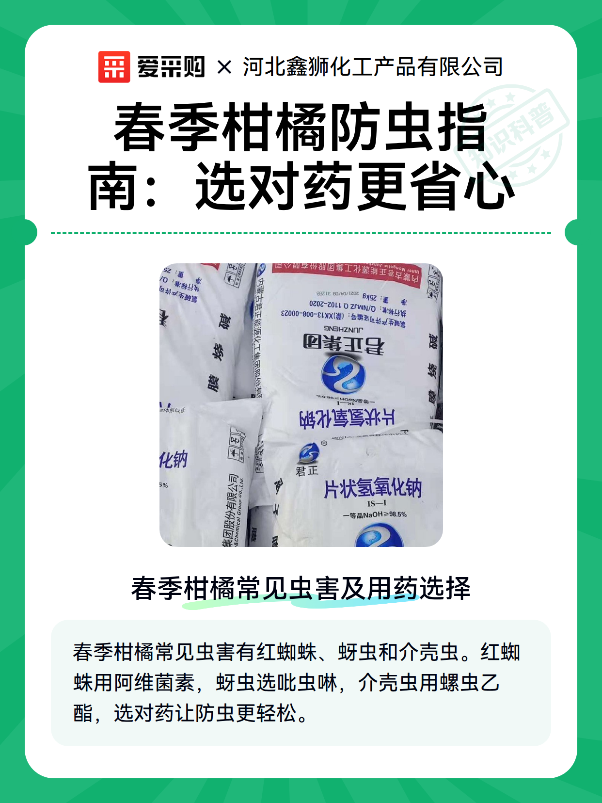 春季柑橘防虫指南：选对药更省心（图1）