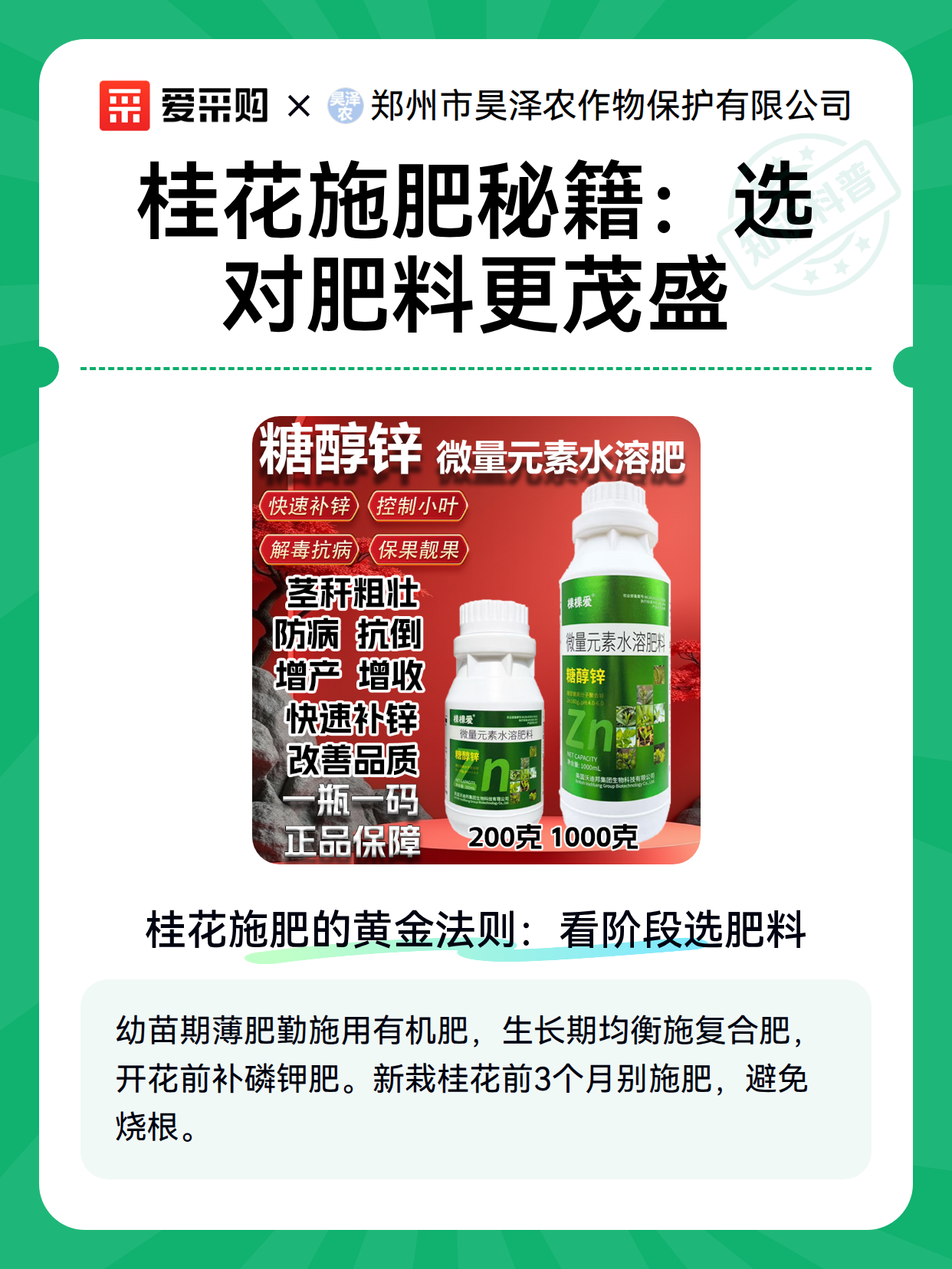 桂花施肥秘籍：选对肥料更茂盛（图2）