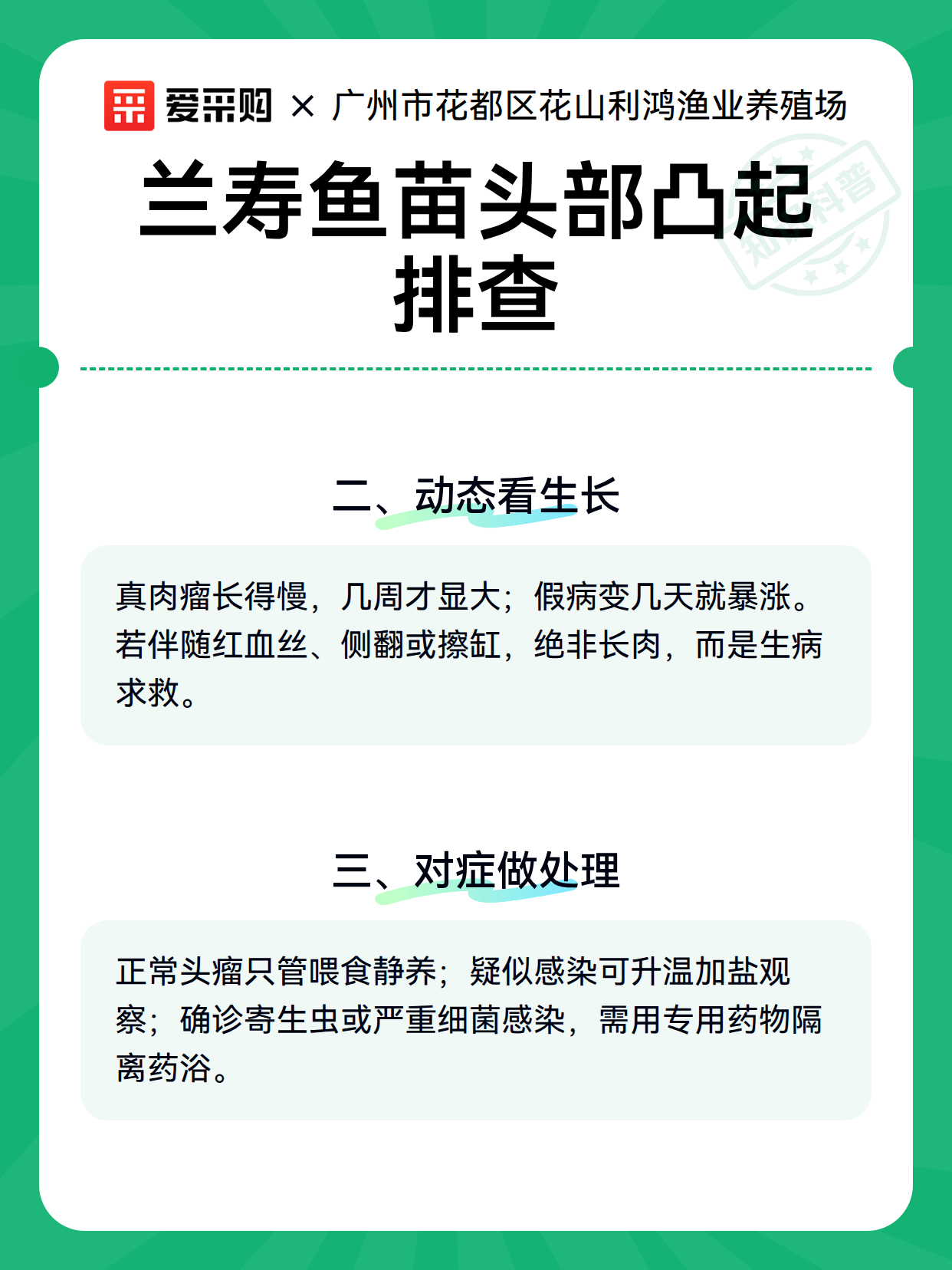 兰寿鱼苗头部凸起排查（图2）