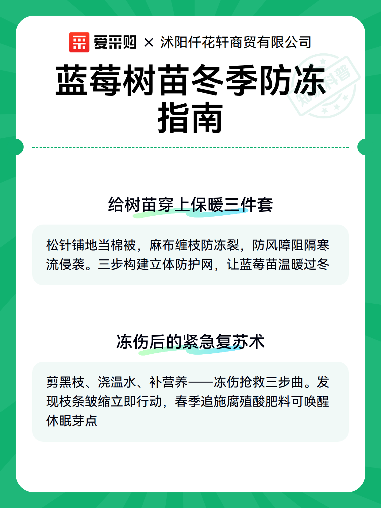 蓝莓树苗冬季防冻指南（图3）