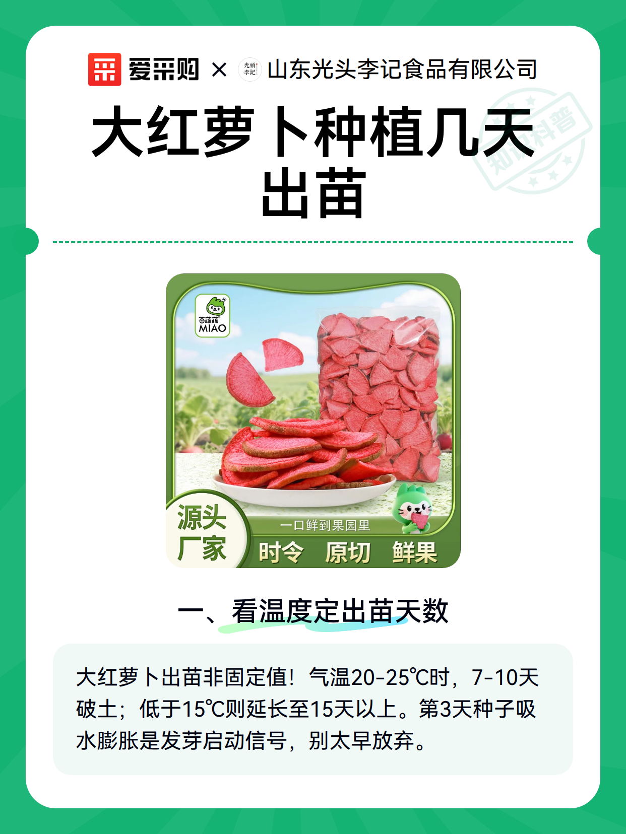 大红萝卜种植几天出苗（图1）