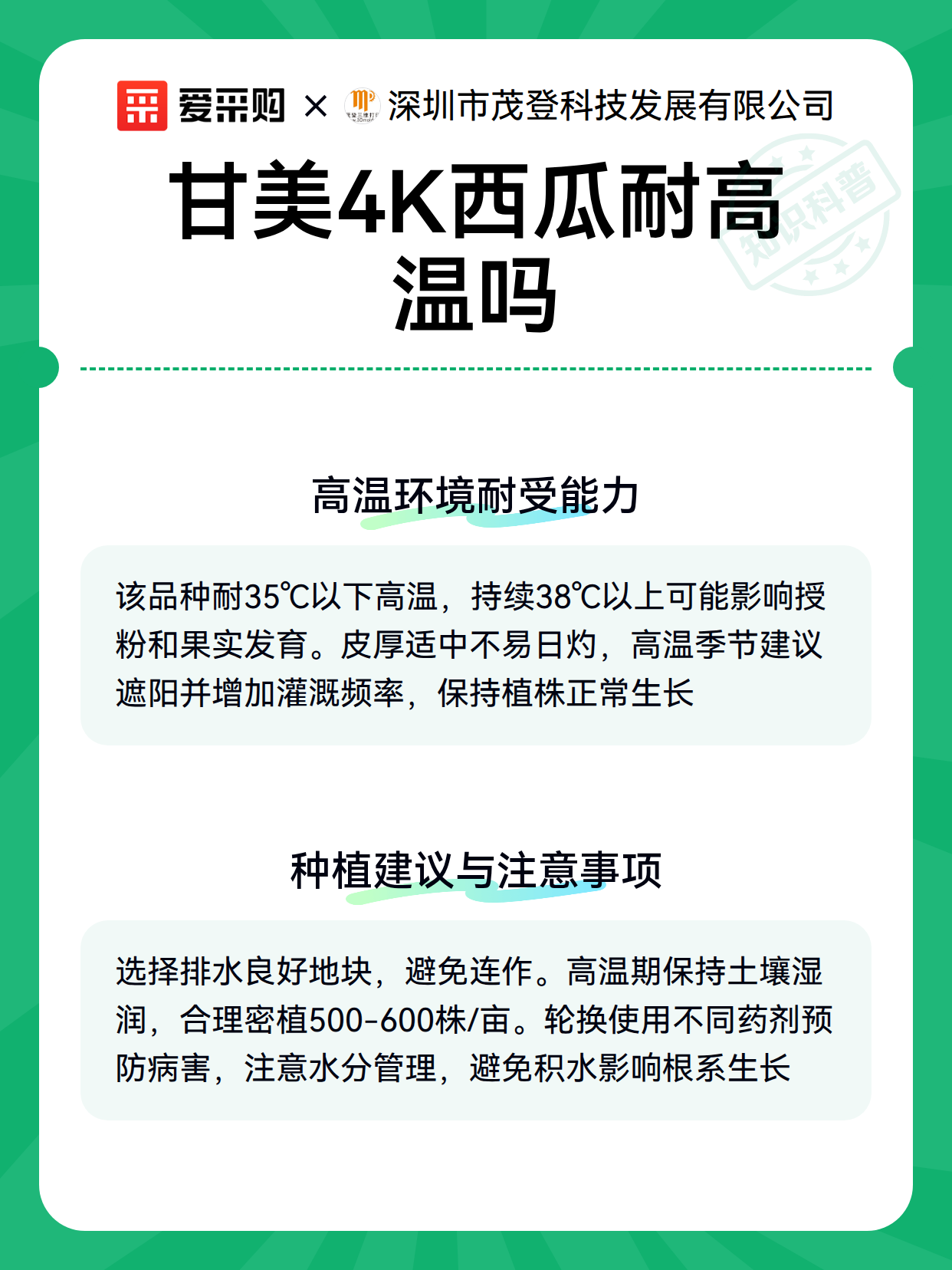 甘美4K西瓜耐高温吗（图3）