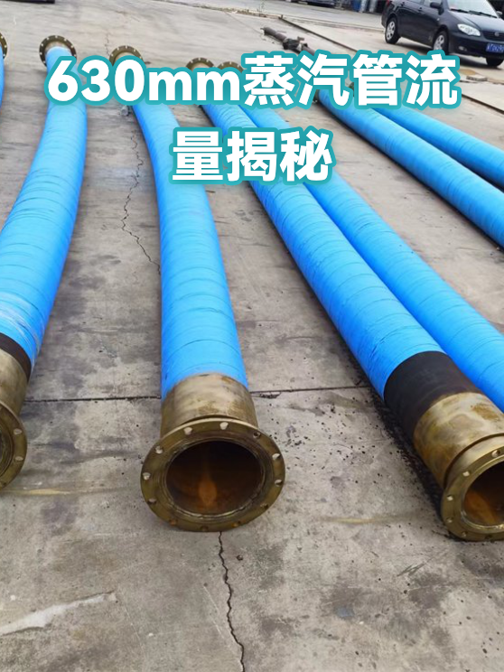 630mm蒸汽管流量揭秘（图1）