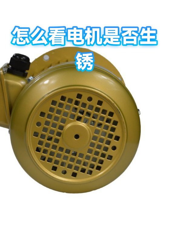 怎么看电机是否生锈（图1）