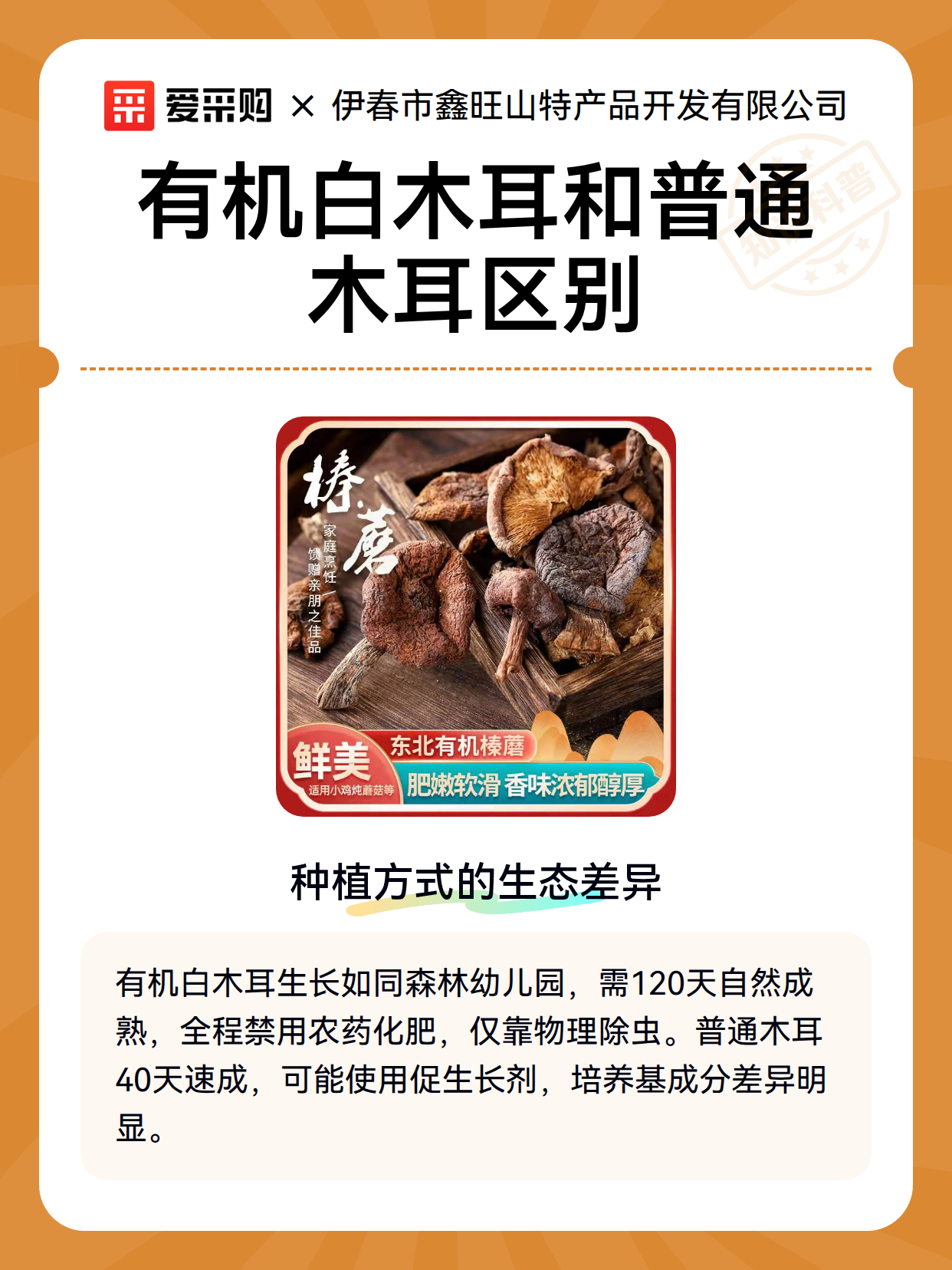 有机白木耳和普通木耳区别（图2）