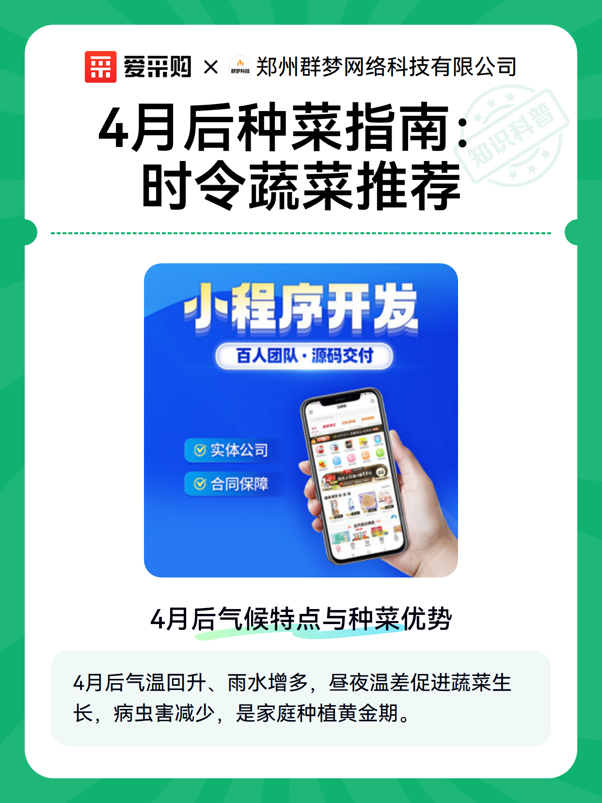 4月后种菜指南：时令蔬菜推荐（图2）