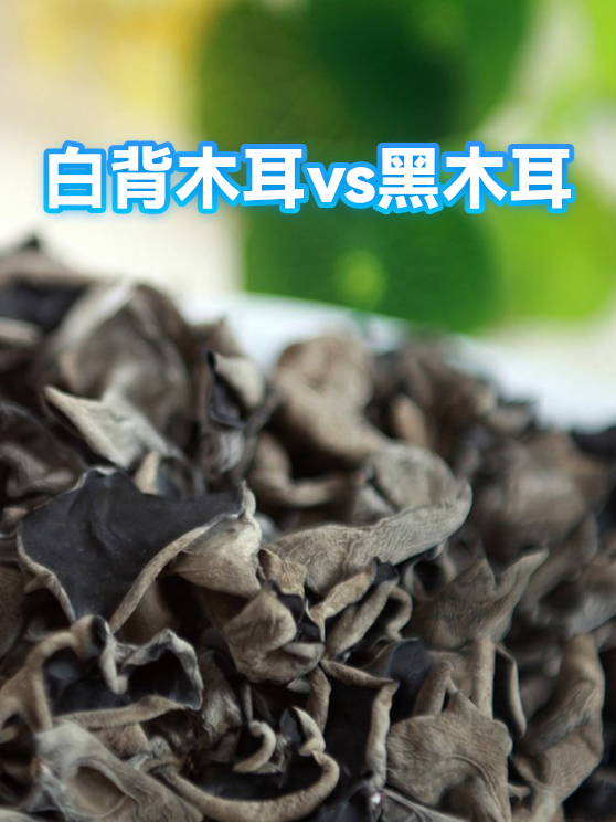 白背木耳vs黑木耳（图1）