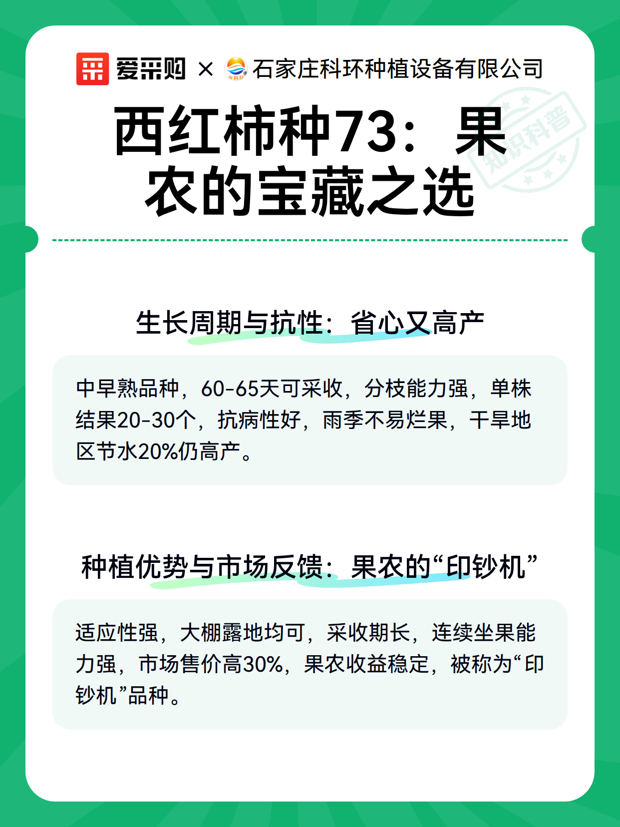 西红柿种73：果农的宝藏之选（图3）