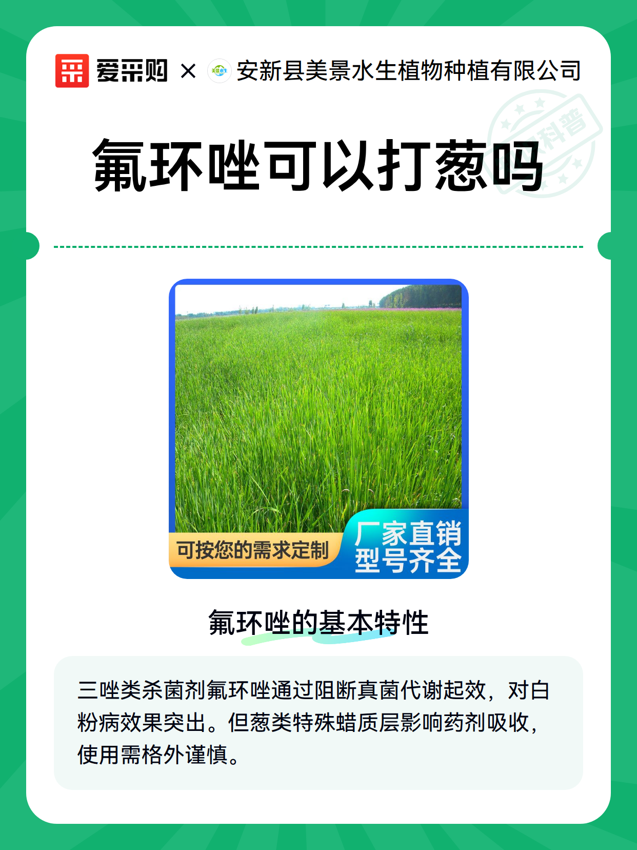 氟环唑可以打葱吗（图2）