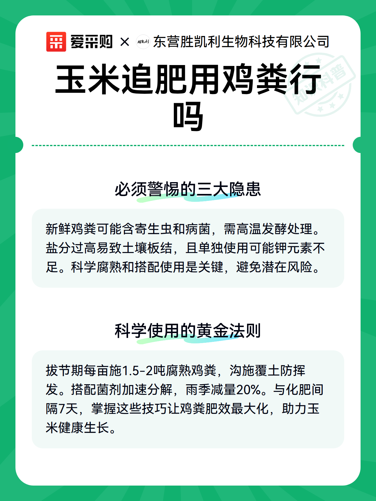 玉米追肥用鸡粪行吗（图3）