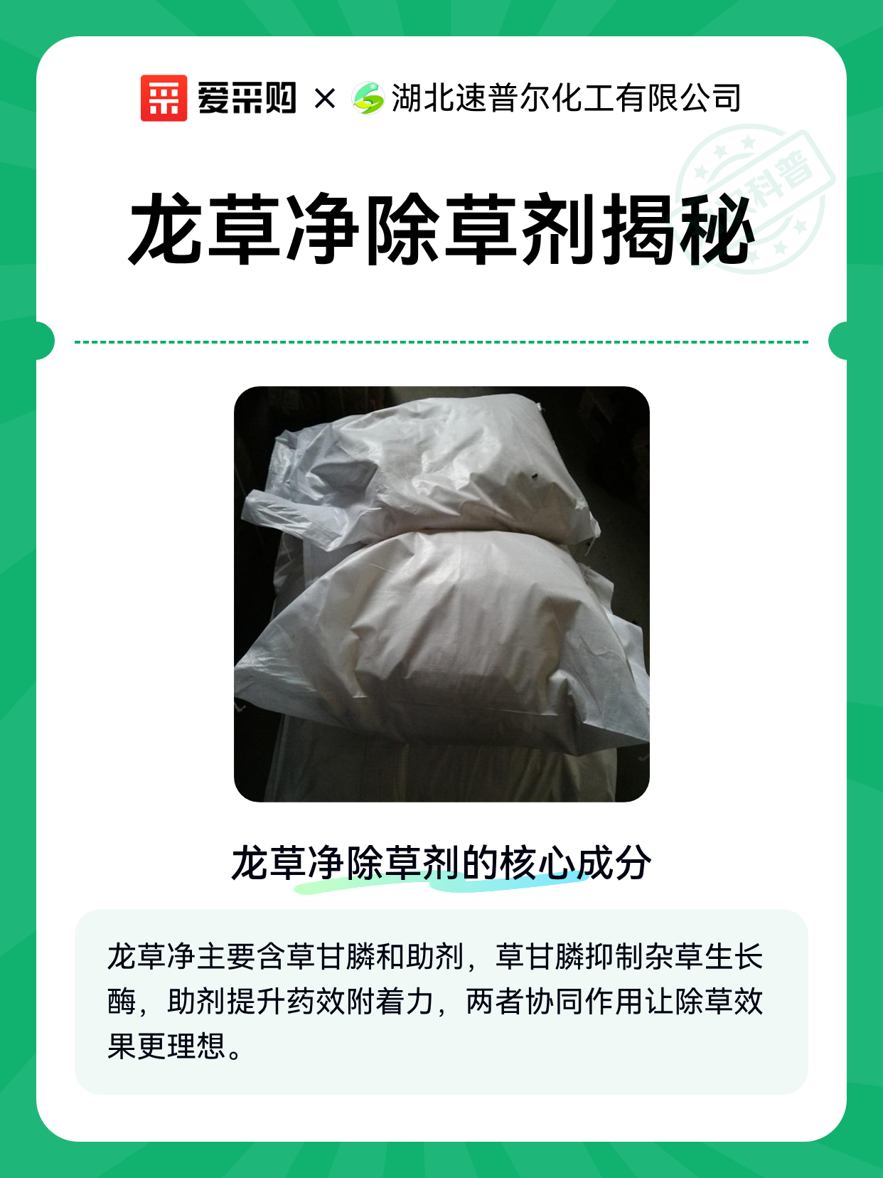 龙草净除草剂揭秘（图1）