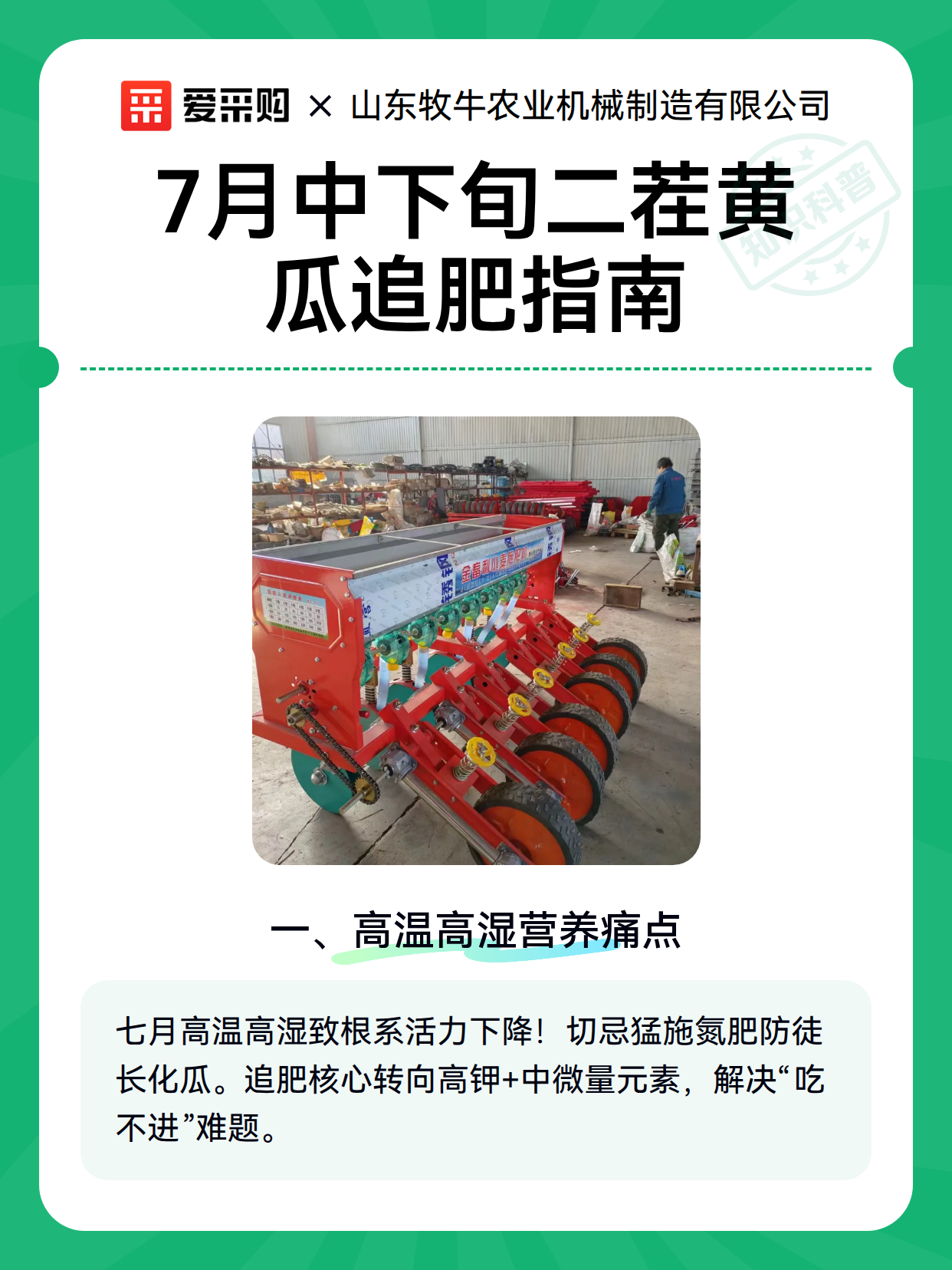 7月中下旬二茬黄瓜追肥指南（图2）