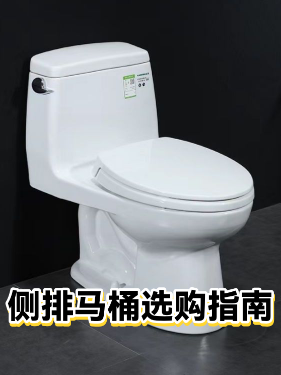 侧排马桶选购指南（图1）