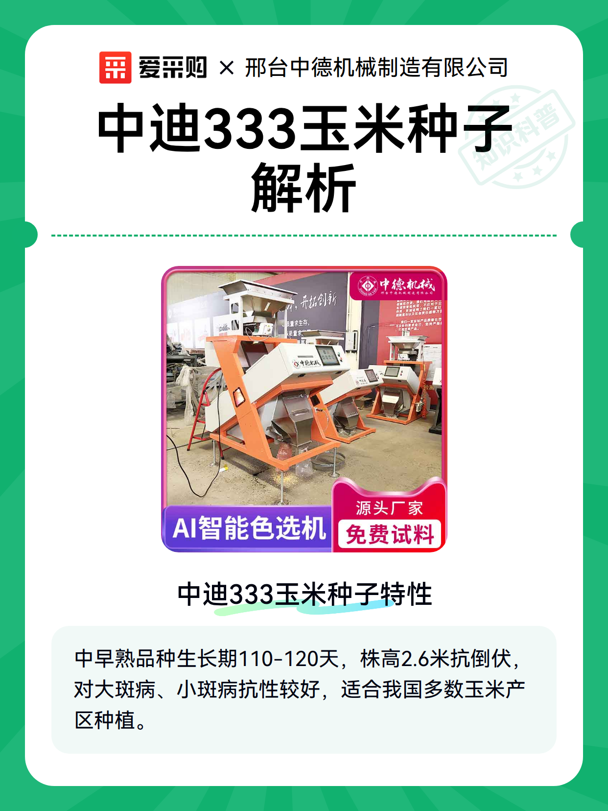 中迪333玉米种子解析（图2）