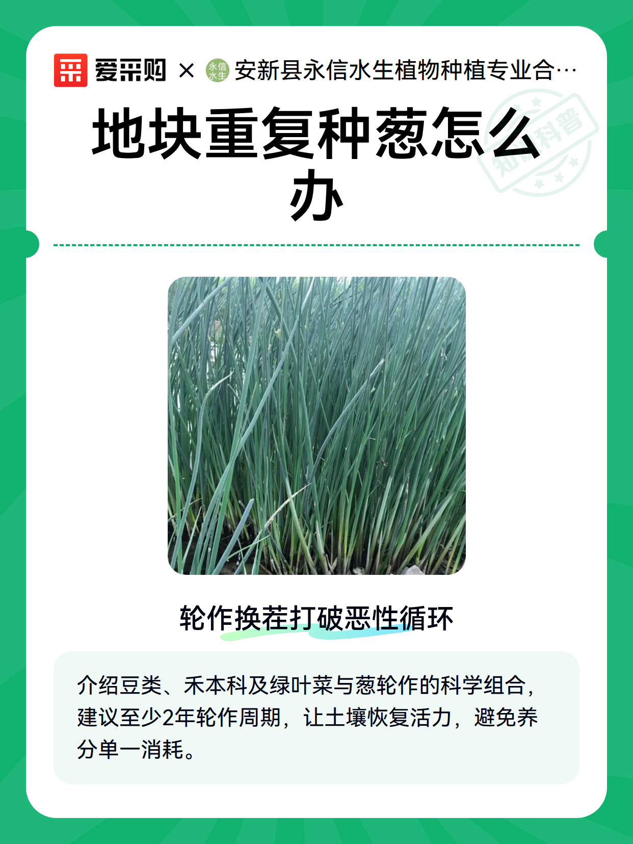 地块重复种葱怎么办（图2）