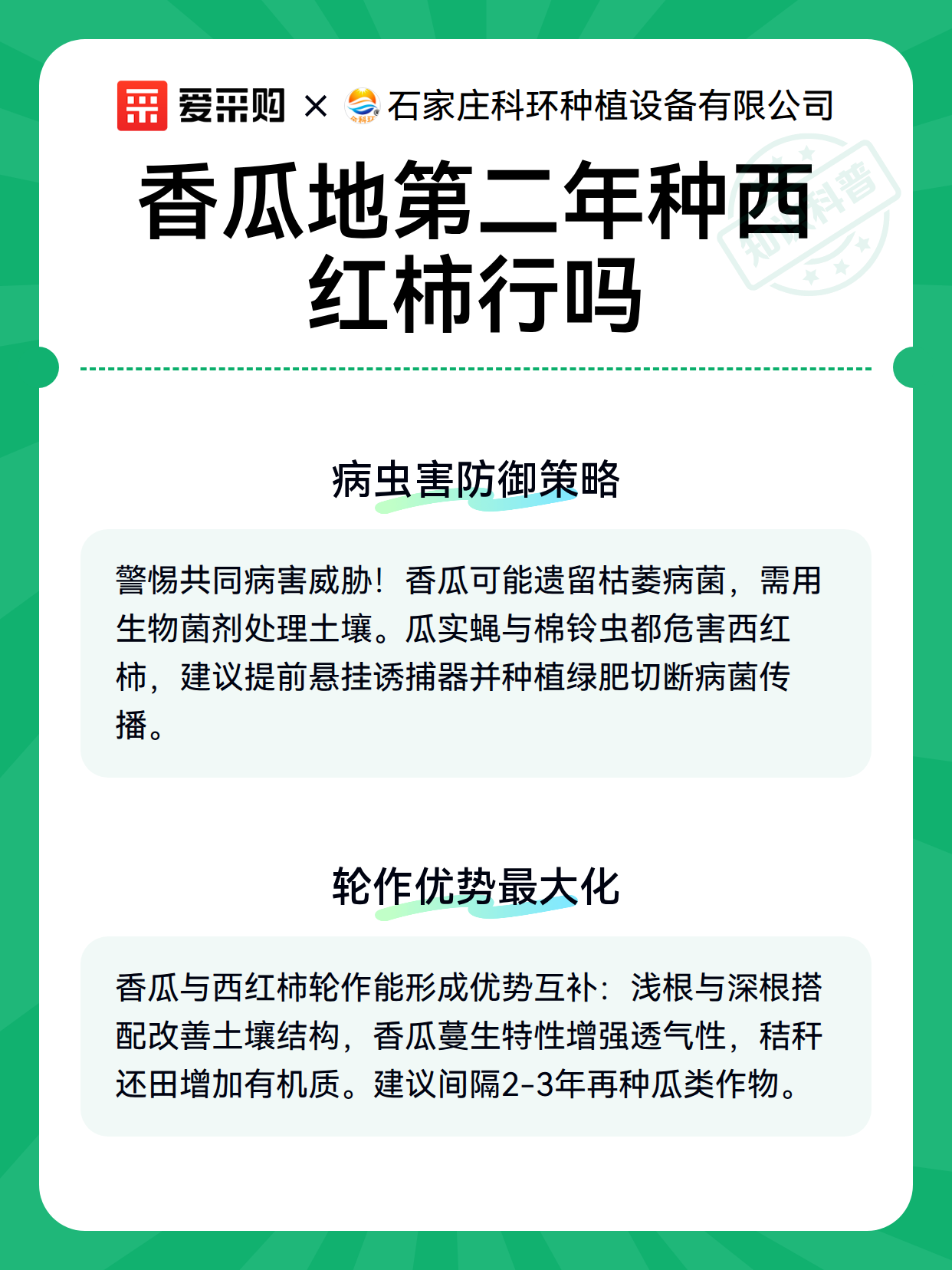 香瓜地第二年种西红柿行吗（图3）