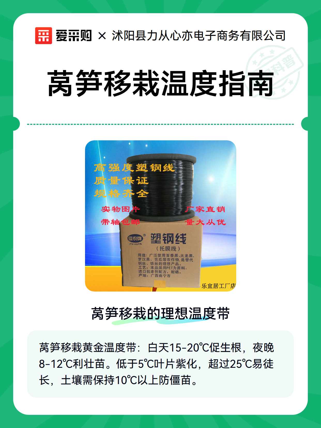 莴笋移栽温度指南（图1）