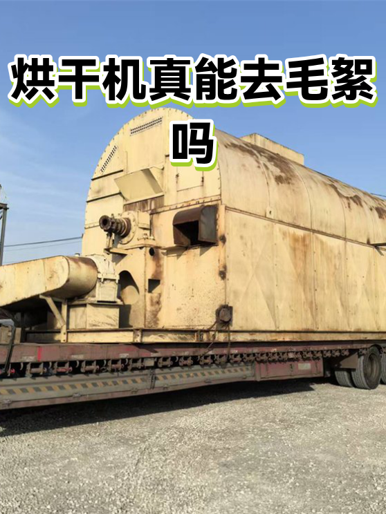 烘干机真能去毛絮吗（图1）