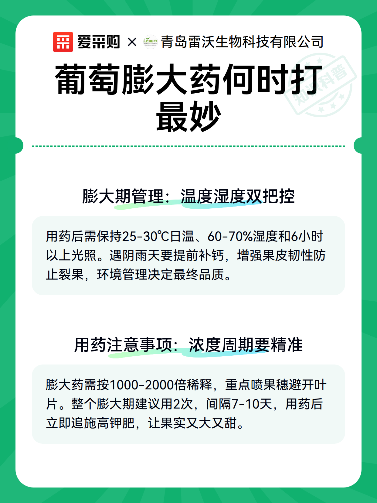 葡萄膨大药何时打最妙（图3）
