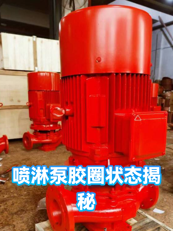 喷淋泵胶圈状态揭秘（图1）