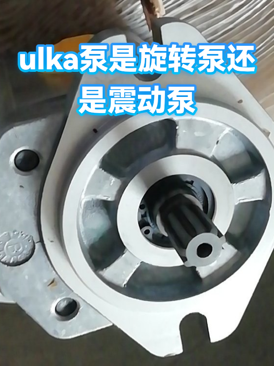 ulka泵是旋转泵还是震动泵（图1）