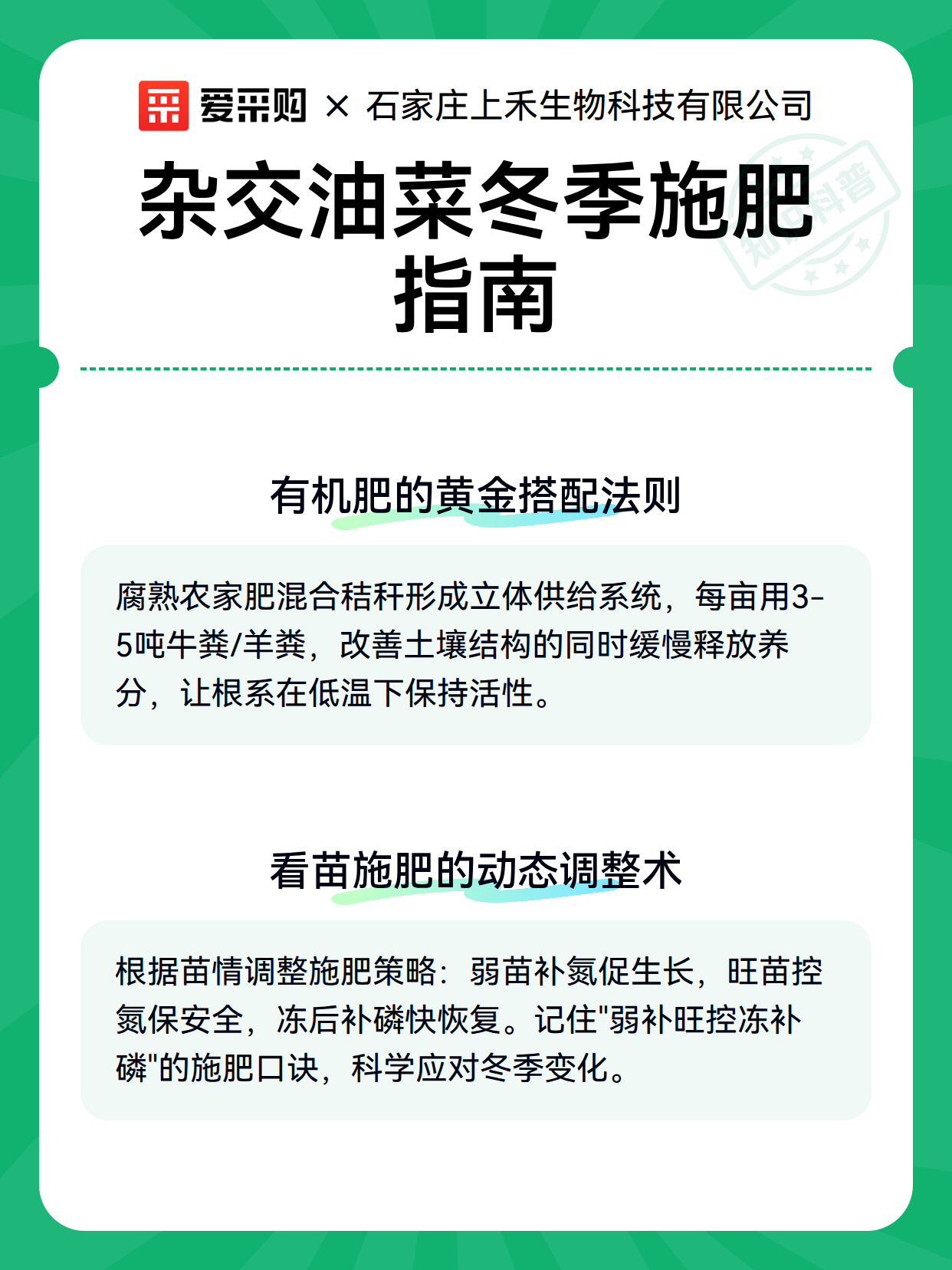 杂交油菜冬季施肥指南（图2）