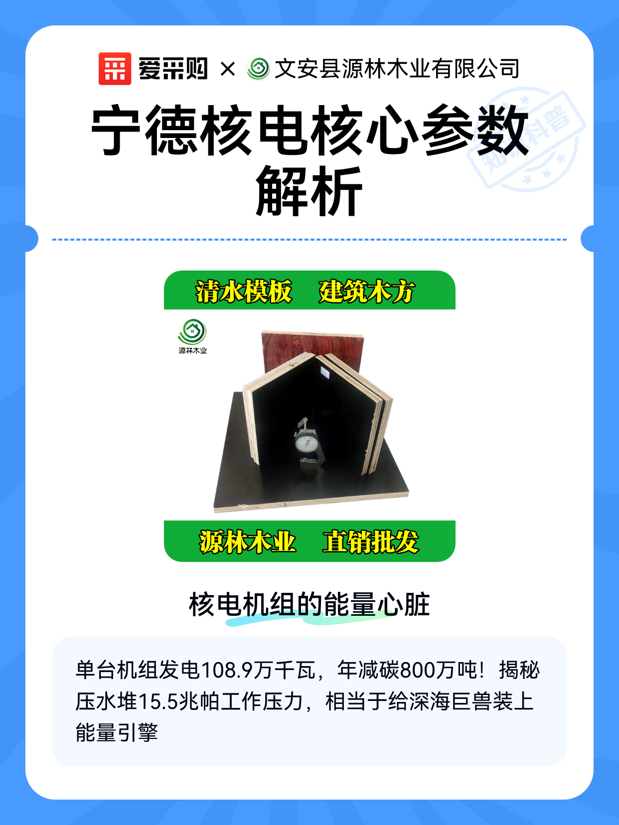 宁德核电核心参数解析（图1）